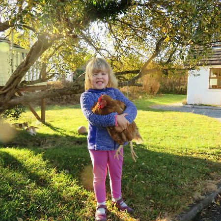 Heatherhill Farm Cottage In Letterfrack Beside Connemara National Park Экстерьер фото
