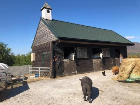 Heatherhill Farm Cottage In Letterfrack Beside Connemara National Park Экстерьер фото